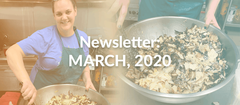 Newsletter March 2020 - Feature Image